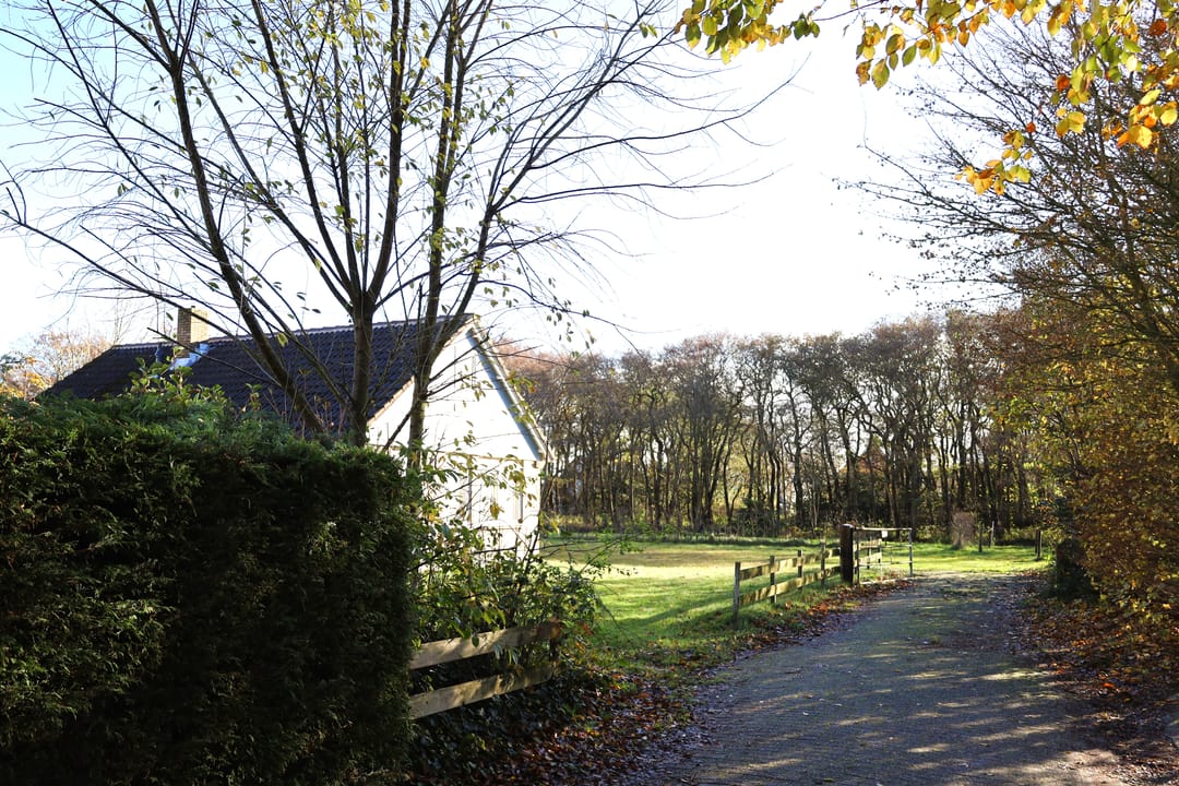 Photo 16 of Duinweg Lies 15