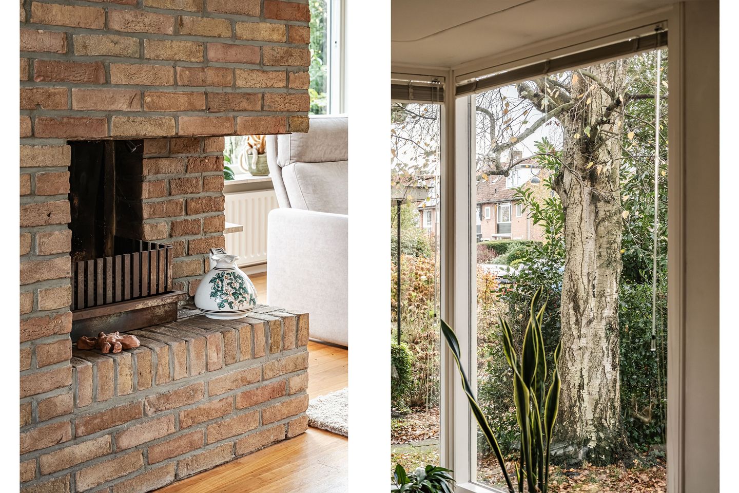 Photo 4 of Ligusterlaan 6