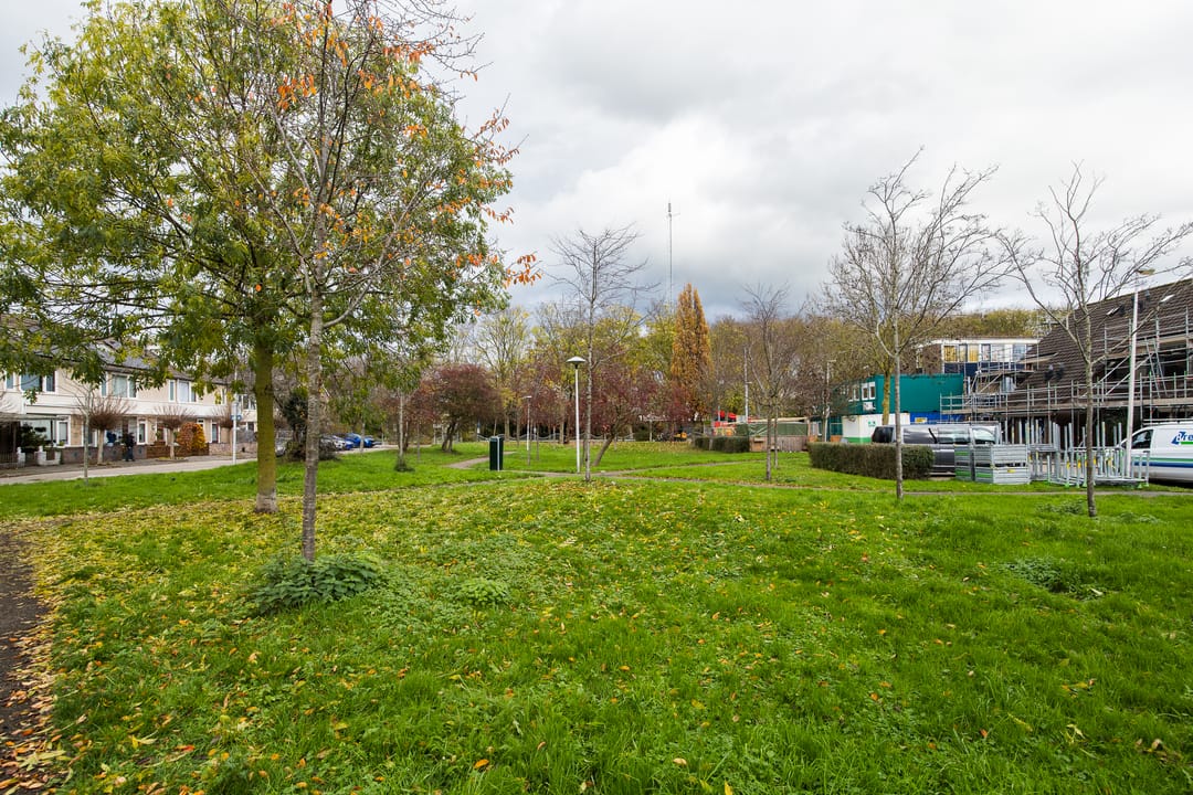 Foto 38 van Wijnbesplantsoen 9
