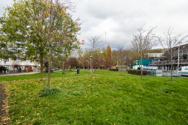 Foto 38 van Wijnbesplantsoen 9