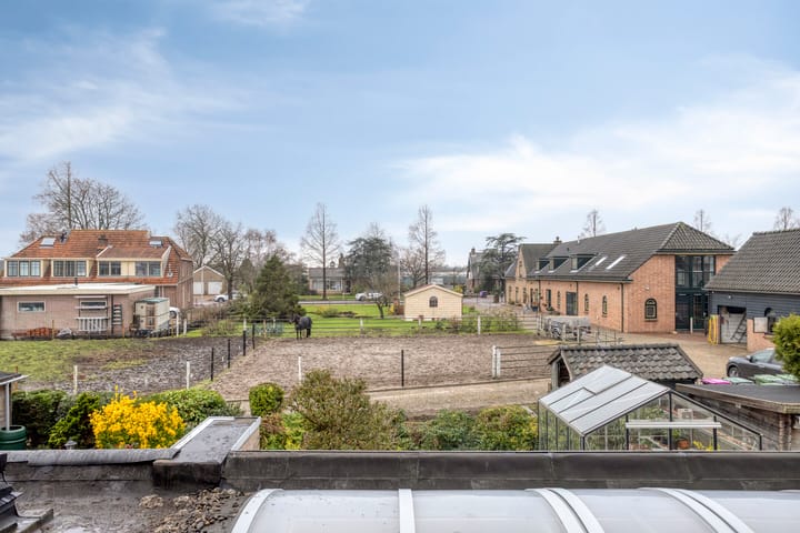 Photo 33 of Tormentil 40