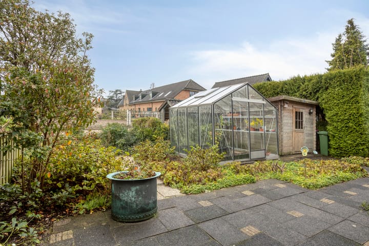 Photo 34 of Tormentil 40