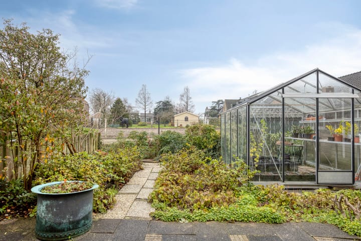 Photo 35 of Tormentil 40