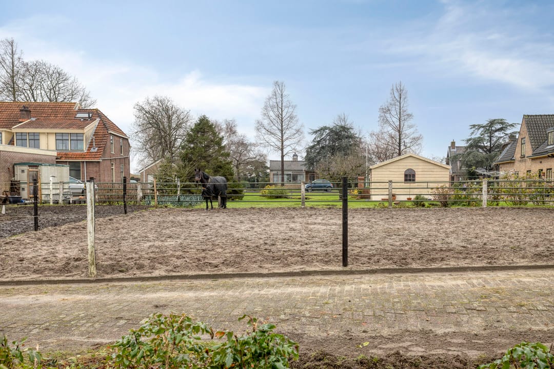 Foto 32 van Tormentil 40