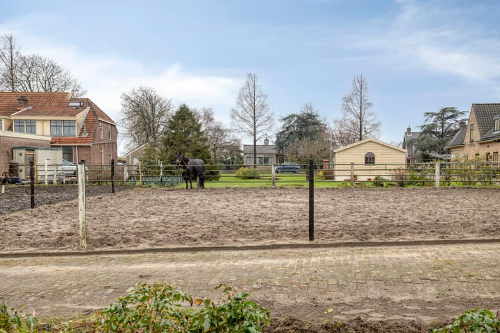 Photo 36 of Tormentil 40