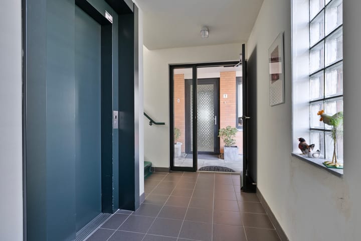 Photo 3 of Aambeeld 5