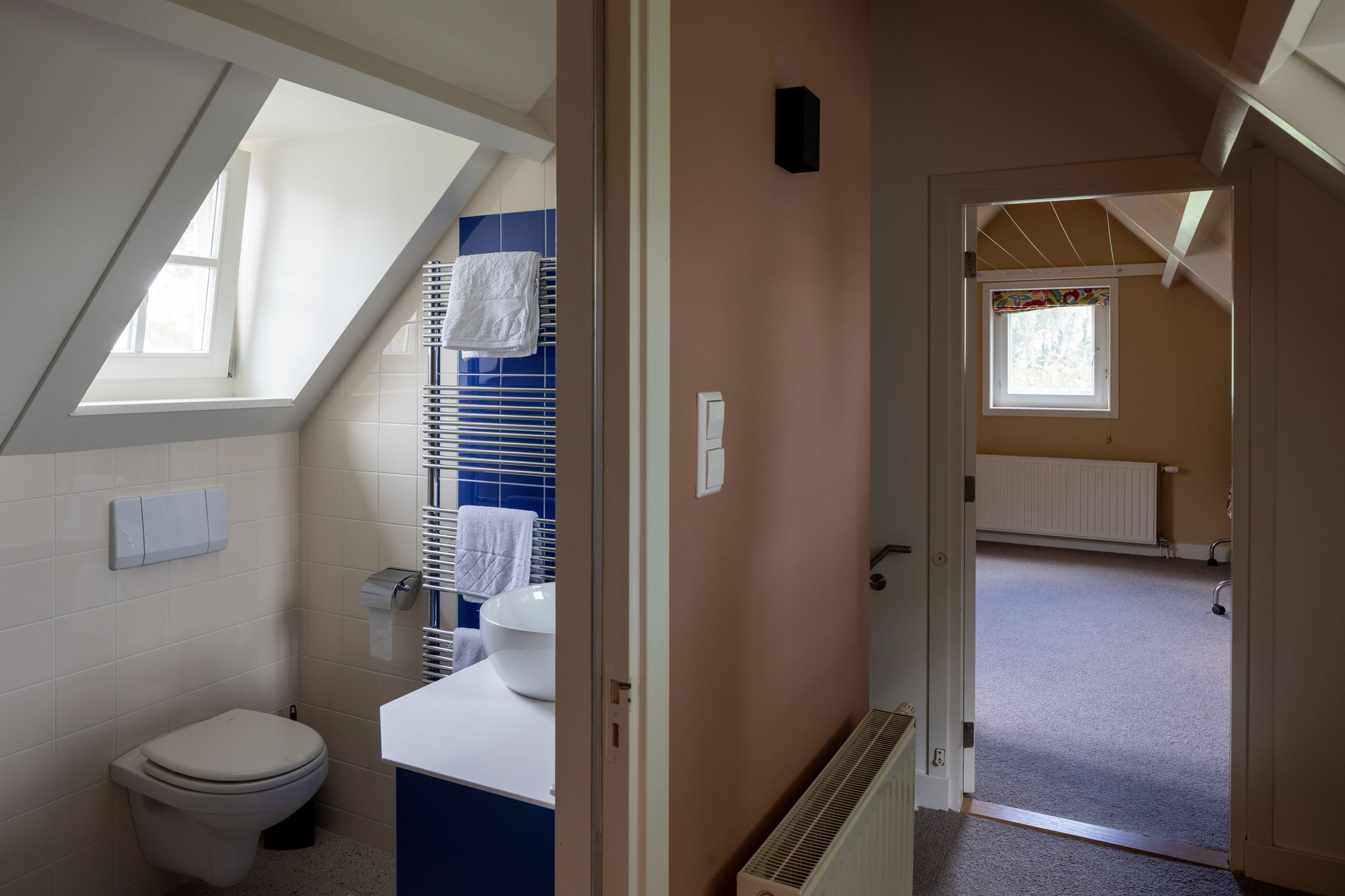 Foto 18 van Botsholsedijk 28