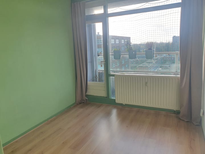 Photo 19 of Plein 1953 164