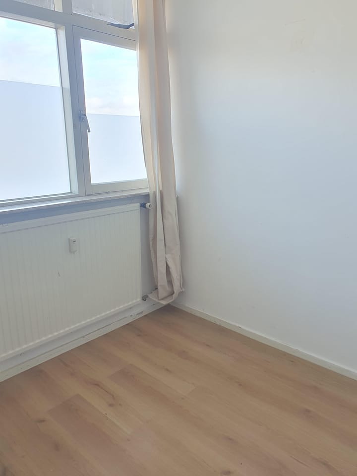 Photo 20 of Plein 1953 164