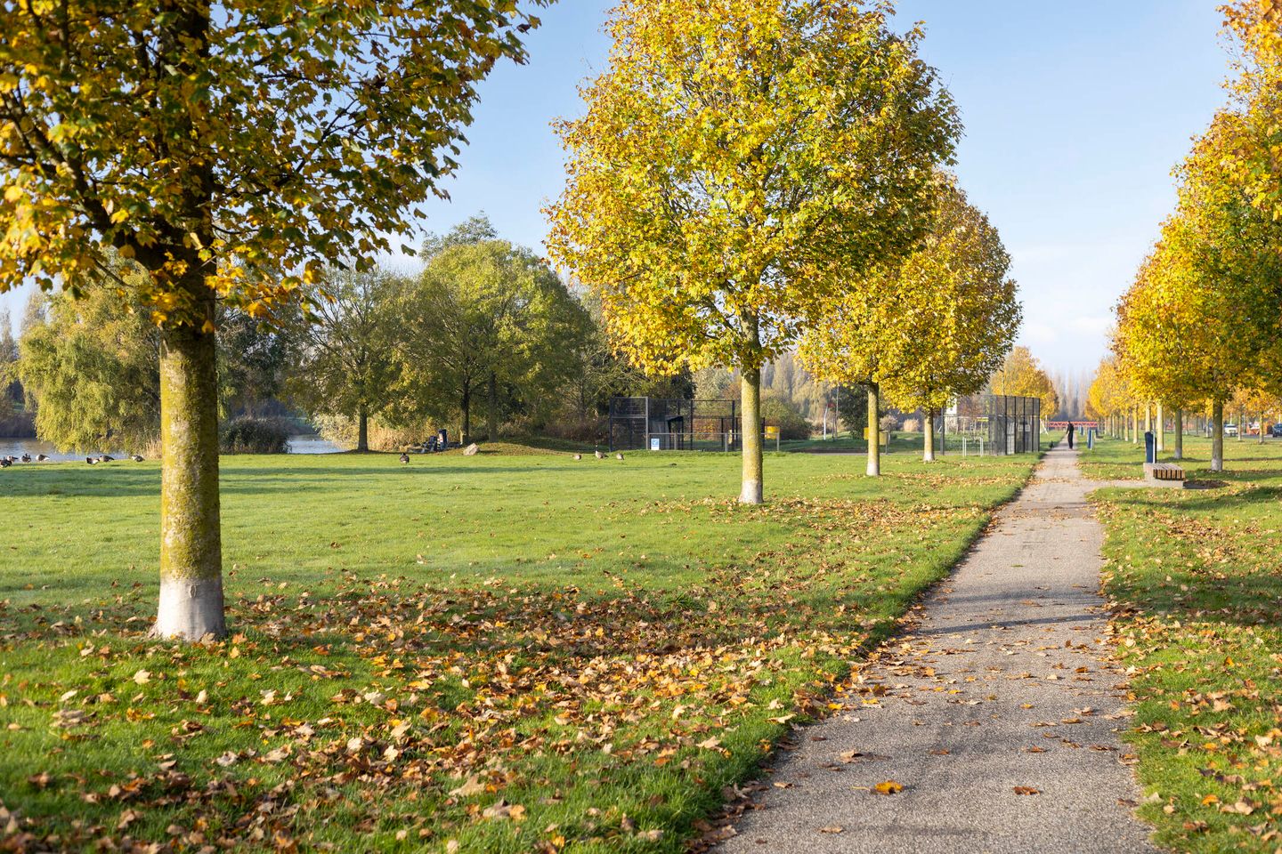 Foto 29 van Zevenblad 26