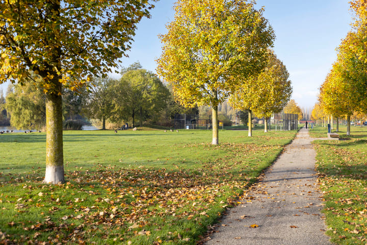 Foto 29 van Zevenblad 26