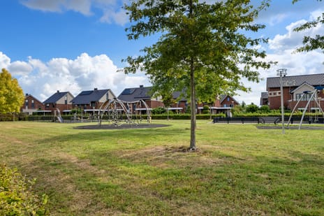 Molenmaker 2 tertiary image