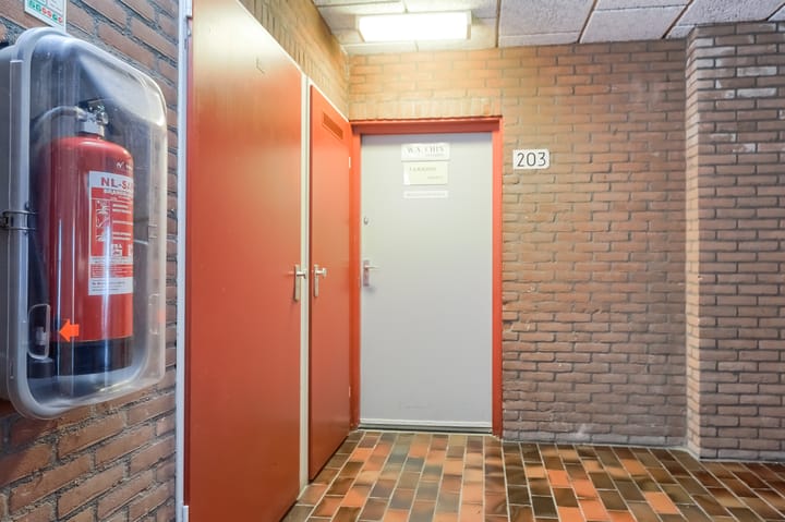 Photo 5 of Poolster 203