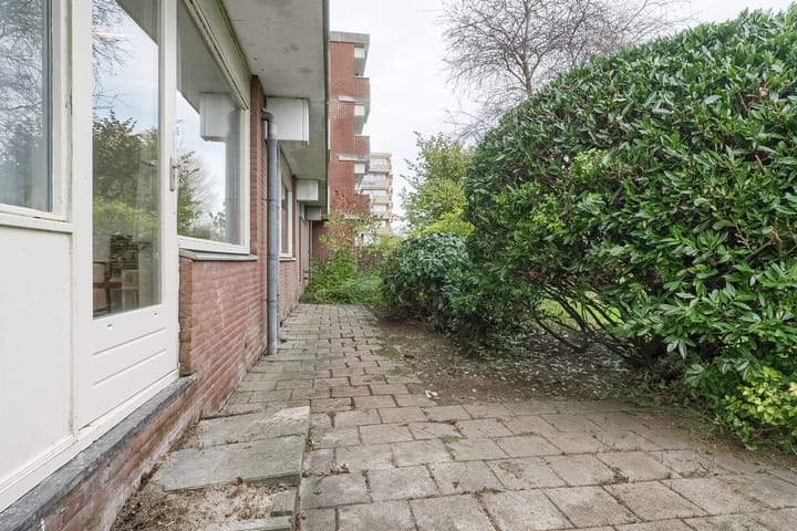 Photo 3 of Poolster 203