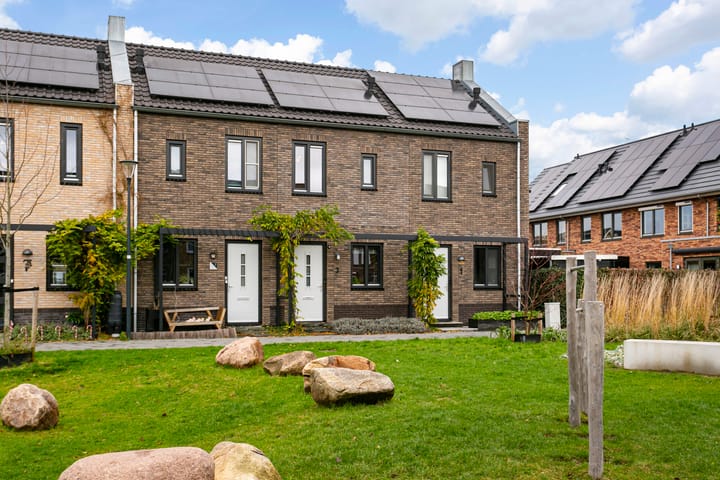 Steven Peltplantsoen 3