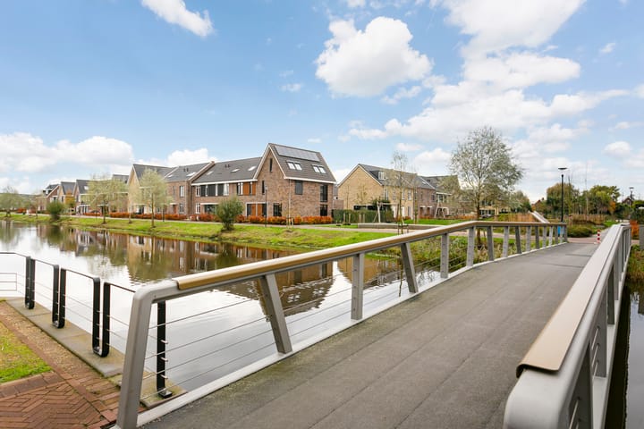 Foto 4 van Steven Peltplantsoen 3