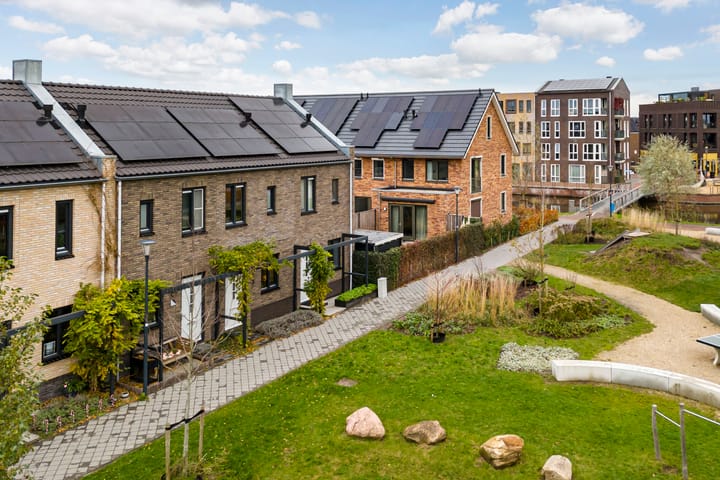 Foto 5 van Steven Peltplantsoen 3