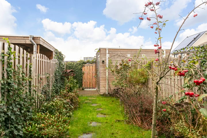 Foto 21 van Steven Peltplantsoen 3