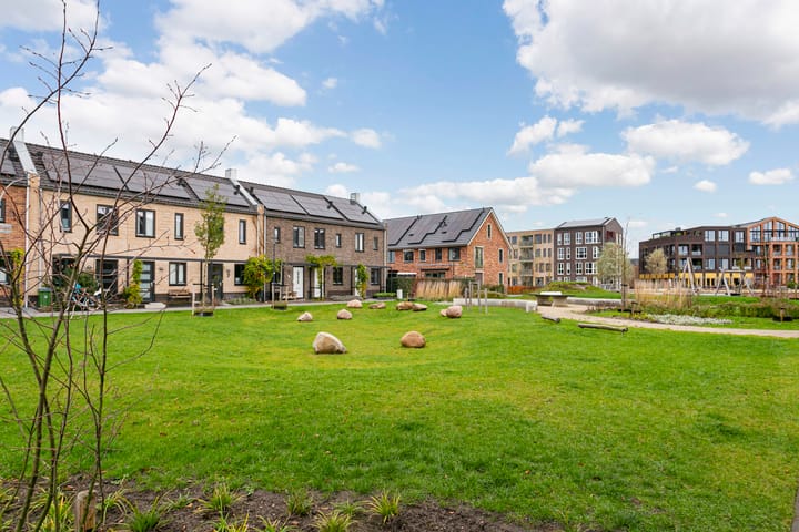 Foto 27 van Steven Peltplantsoen 3