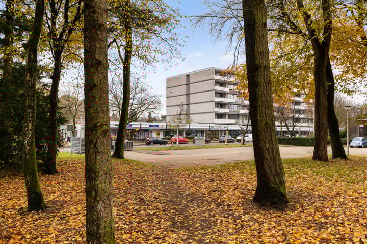 Photo 44 of Nepveulaan 104