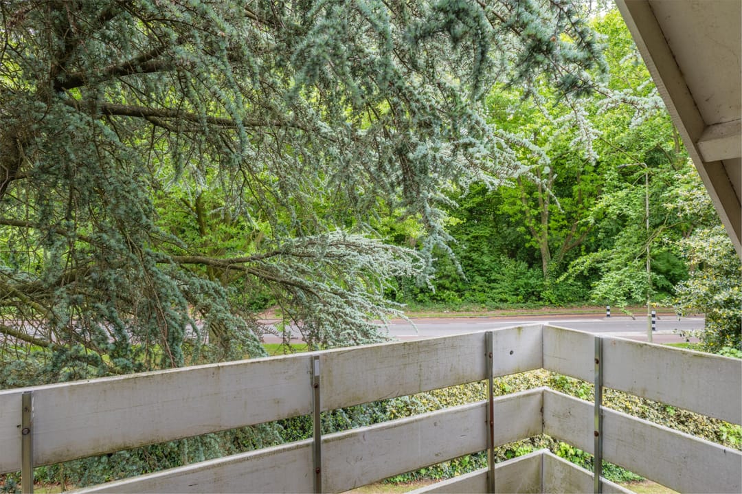 Foto 17 van Casimirstrjitte 14