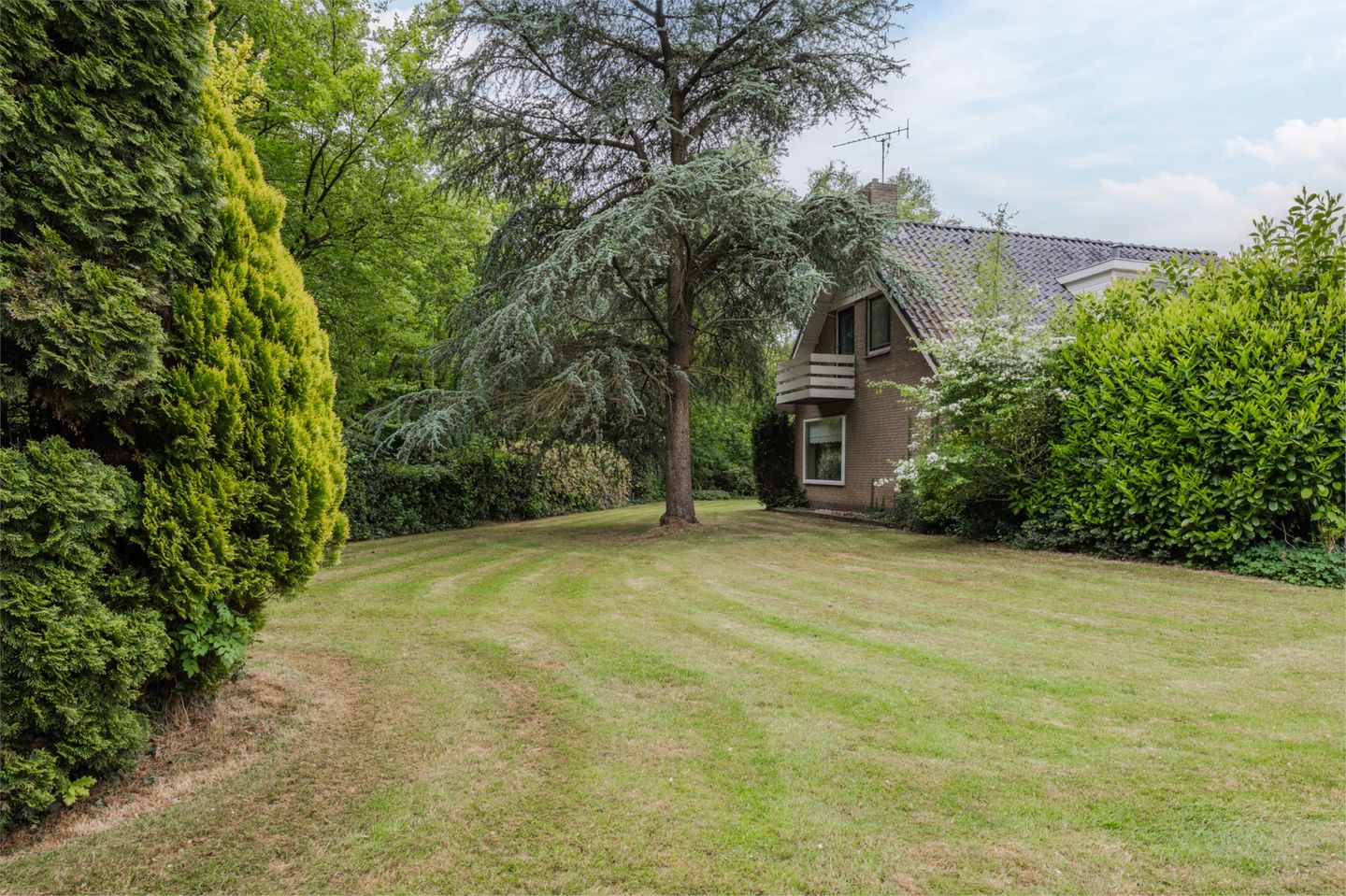 Foto 29 van Casimirstrjitte 14