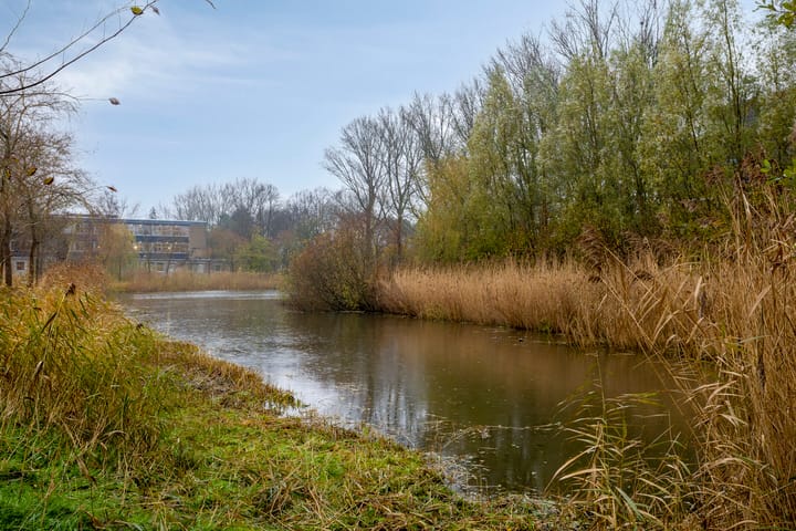 Foto 27 van Hora Siccamasingel 75