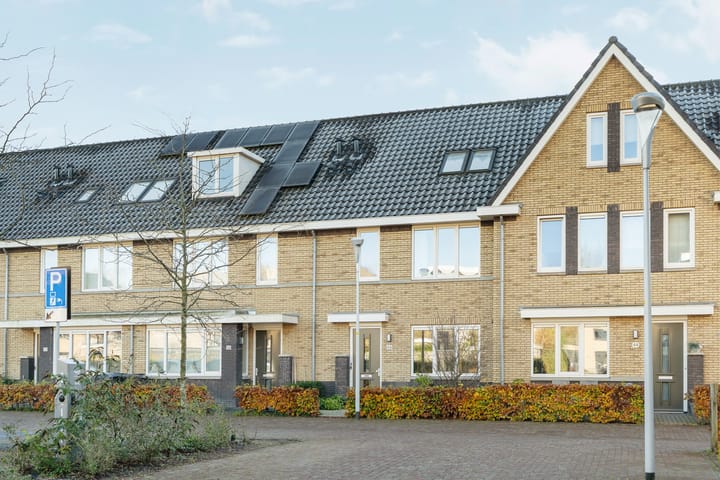 Foto 7 van Esselaar 46