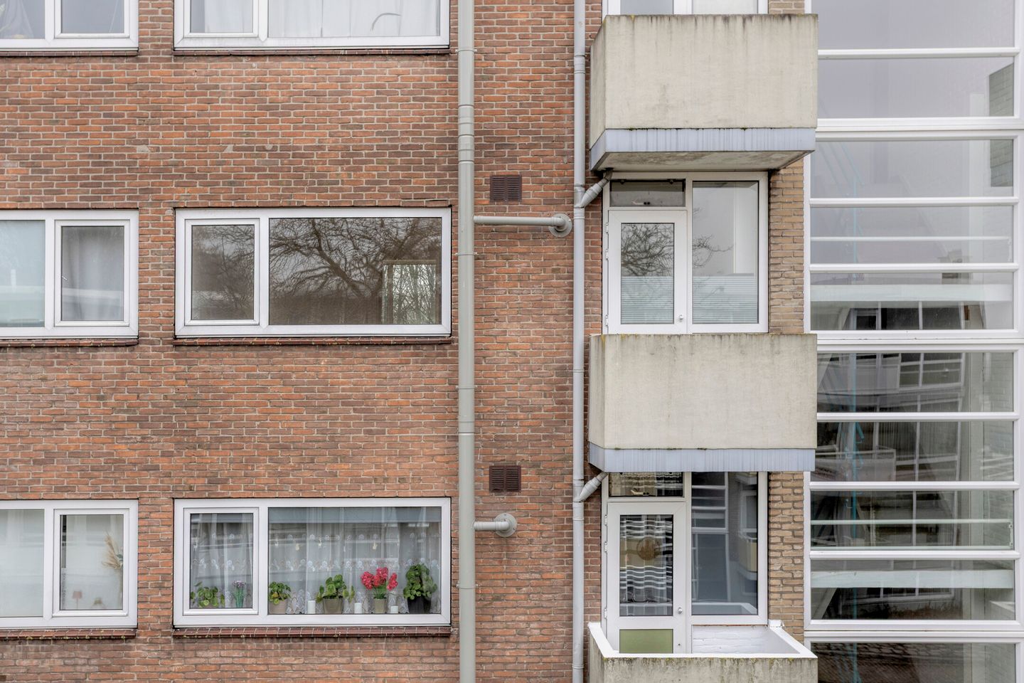 Foto 5 van Verdistraat 44