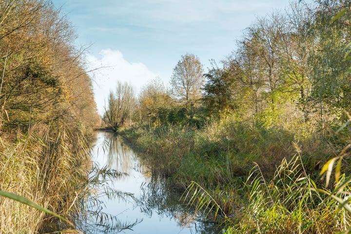 Foto 69 van Esselaar 46