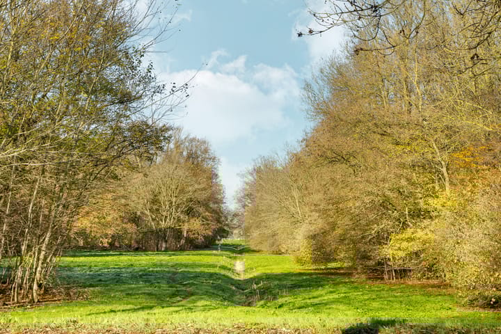 Foto 70 van Esselaar 46