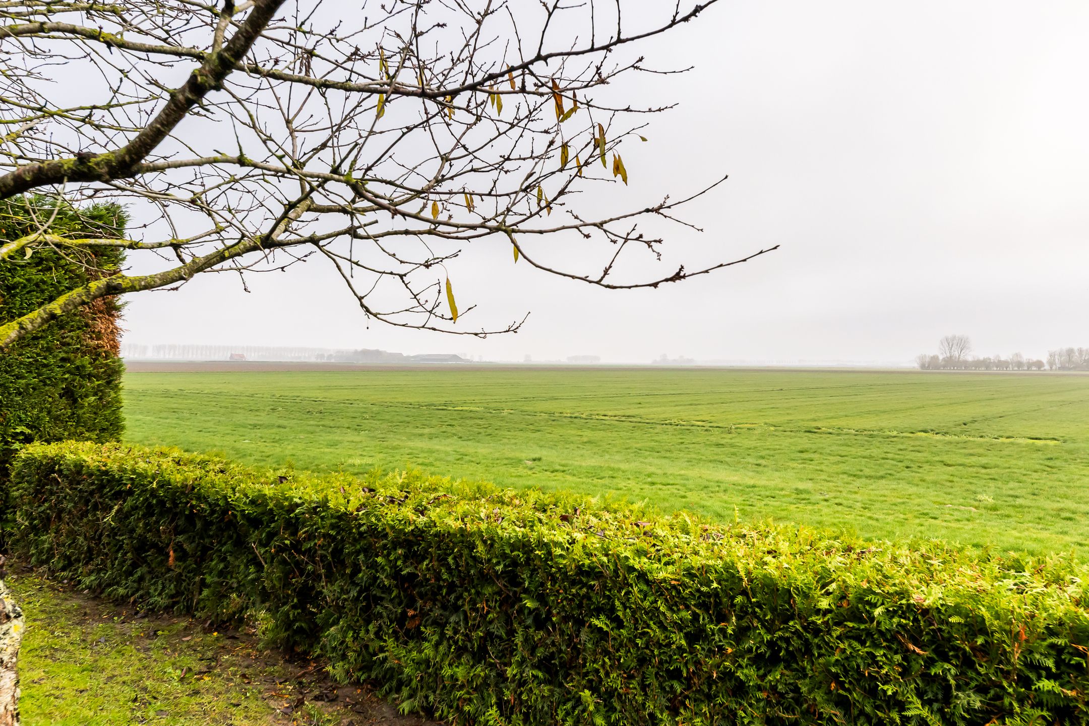 Foto 42 van Hoofdplaatseweg 4