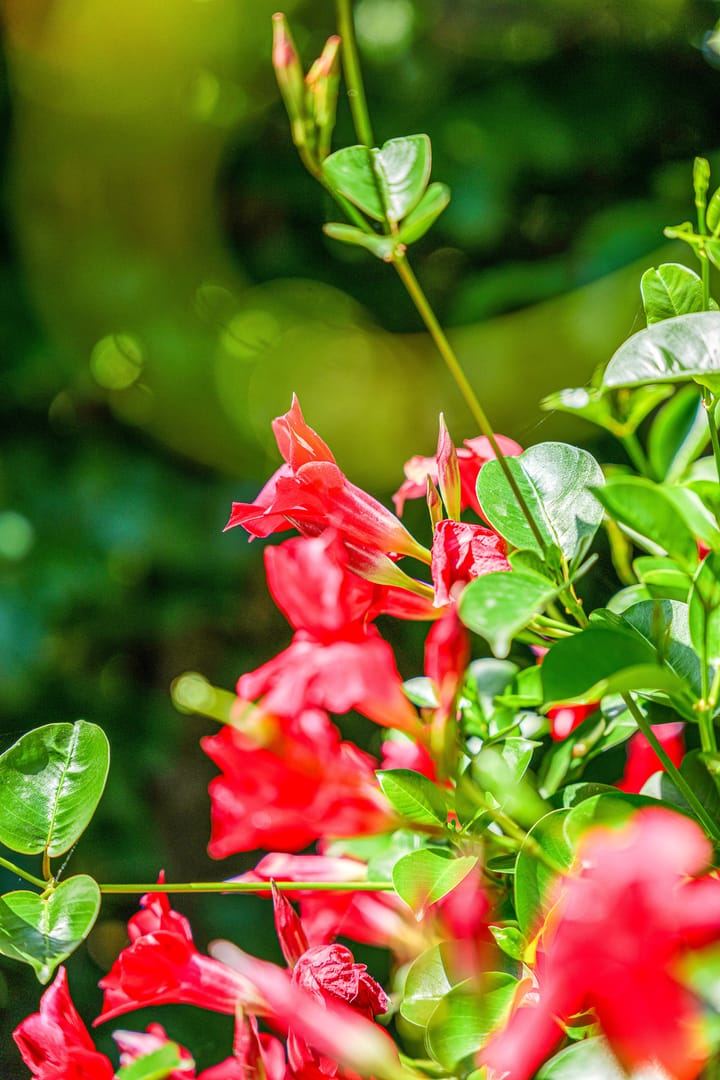 Foto 69 van Baron van Keverbergweg 5