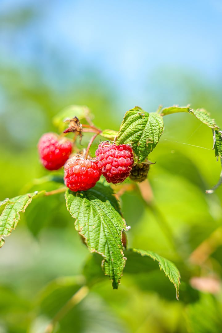 Foto 71 van Baron van Keverbergweg 5