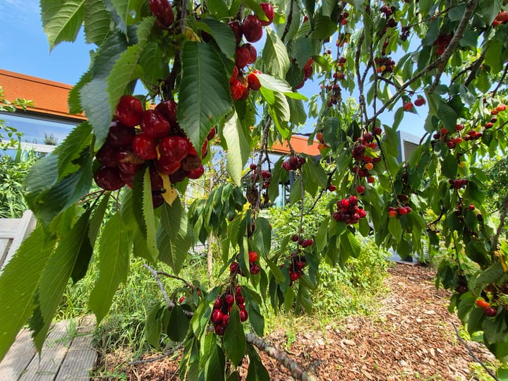 Foto 74 van Baron van Keverbergweg 5