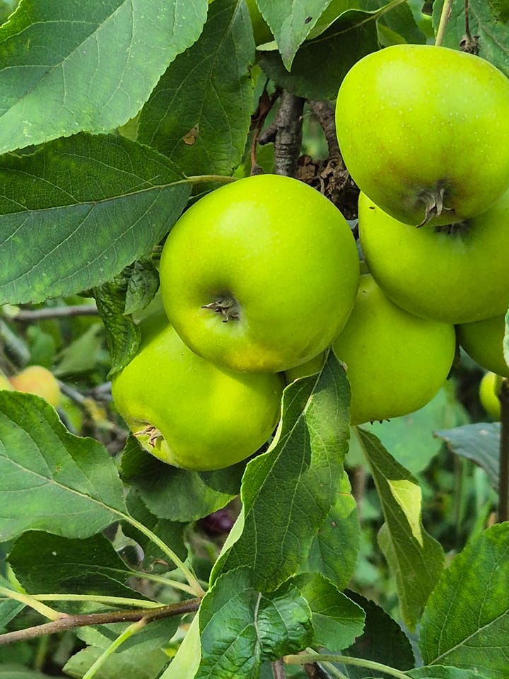 Foto 77 van Baron van Keverbergweg 5