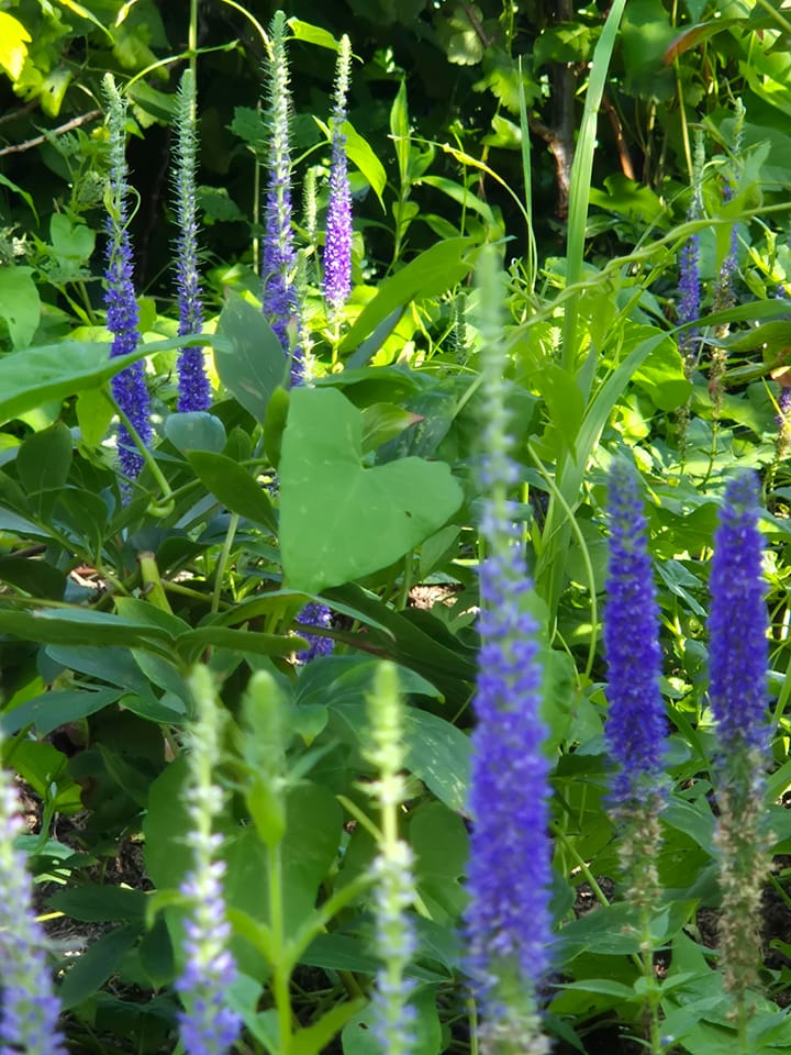 Foto 78 van Baron van Keverbergweg 5