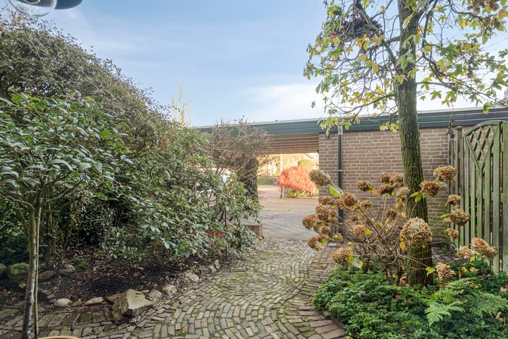 Foto 4 van De Cotelaer 25