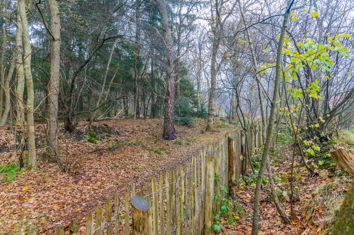 Foto 26 van Bergweg 76-R472