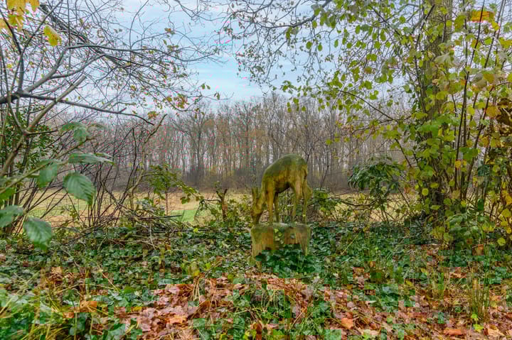 Foto 27 van Bergweg 76-R472