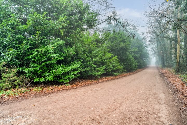 Photo 5 of Stoevenweg 1