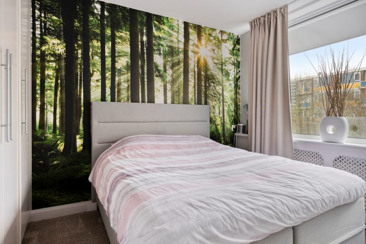 Foto 12 van Generaal S.H. Spoorstraat 397