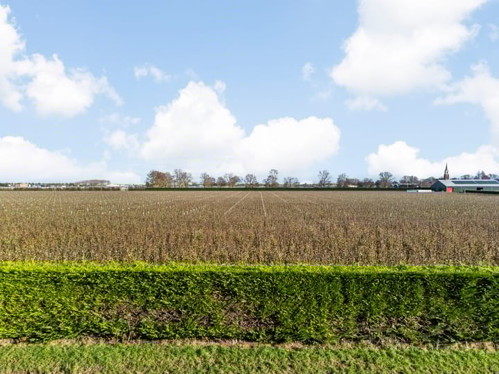 Photo 36 of Witte Dam 113