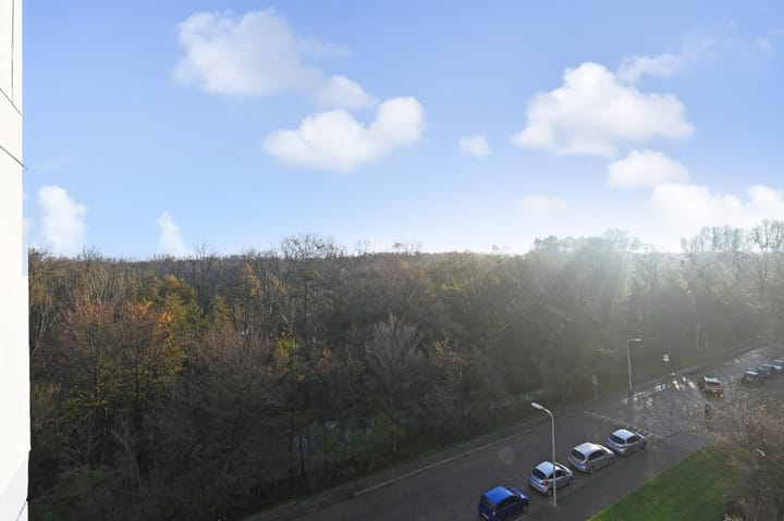 Photo 8 of Heliotrooplaan 356-G