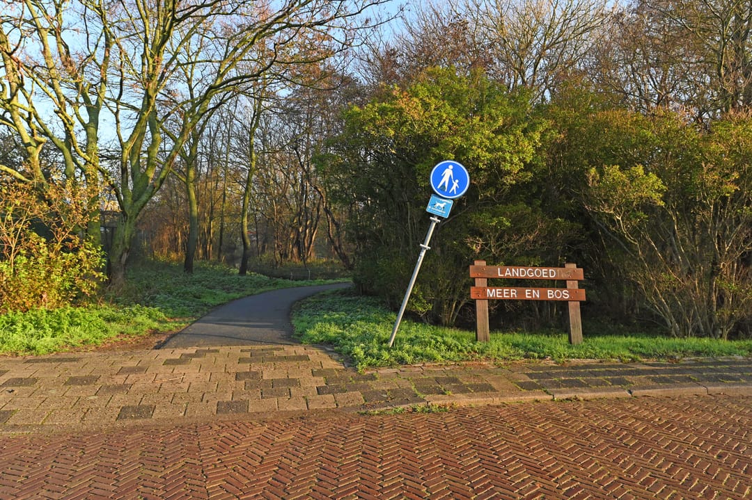 Foto 38 van Heliotrooplaan 356-G