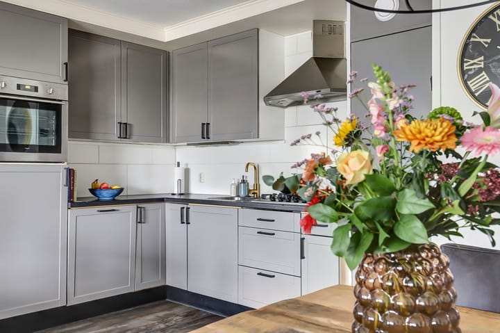 Foto 2 van Tomatenplein 176