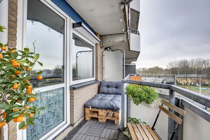 Foto 26 van Tomatenplein 176