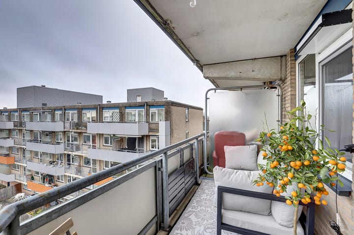 Foto 27 van Tomatenplein 176