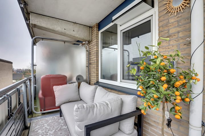 Foto 28 van Tomatenplein 176