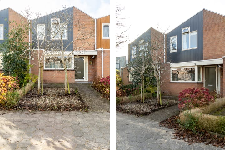 Foto 7 van Klein Hoefblad 4